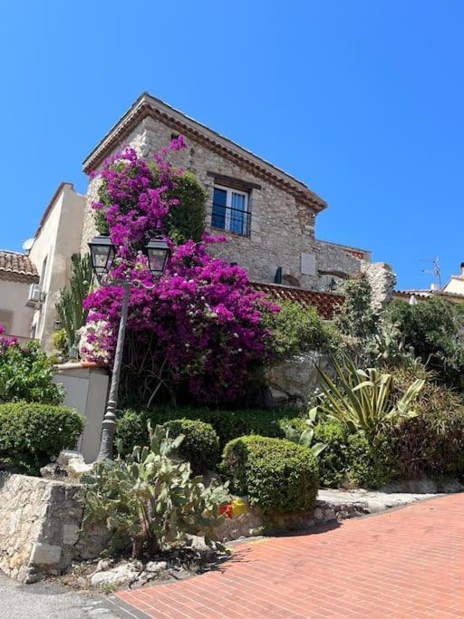 Strelizia - New Central Old Antibes For 4 Ac Eksteriør bilde