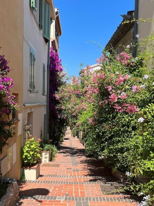 Strelizia - New Central Old Antibes For 4 Ac Eksteriør bilde